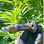 Small image 5