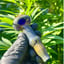 Small image 6