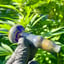 Small image 7