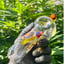 Small image 3