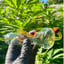 Small image 4