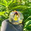 Small image 6