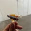 Small image 6