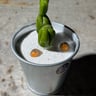 Small image 3