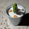 Small image 4