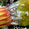 Small image 6