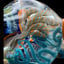 Small image 8