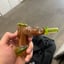 Small image 7