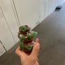 Small image 3