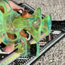 Small image 5