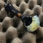 Small image 4