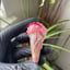 Small image 3