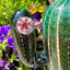 Small image 5