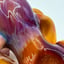 Small image 6