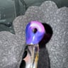 Small image 2