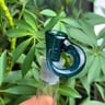 Small image 6