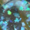 Small image 5