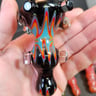 Small image 4