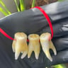Small image 3