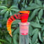 Small image 8