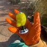 Small image 3