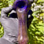 Small image 7