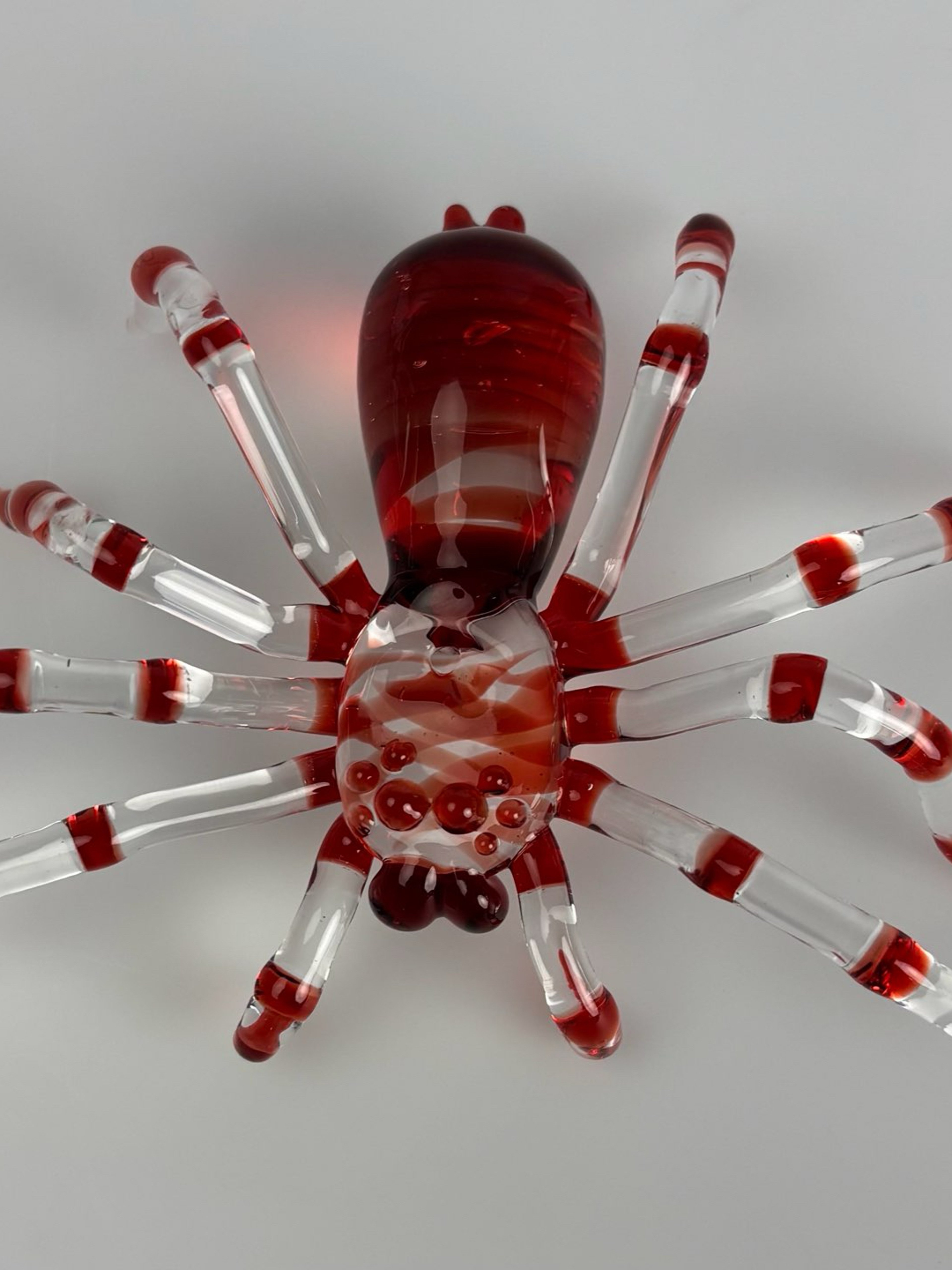 Preview pic of Pomegranate tarantula
