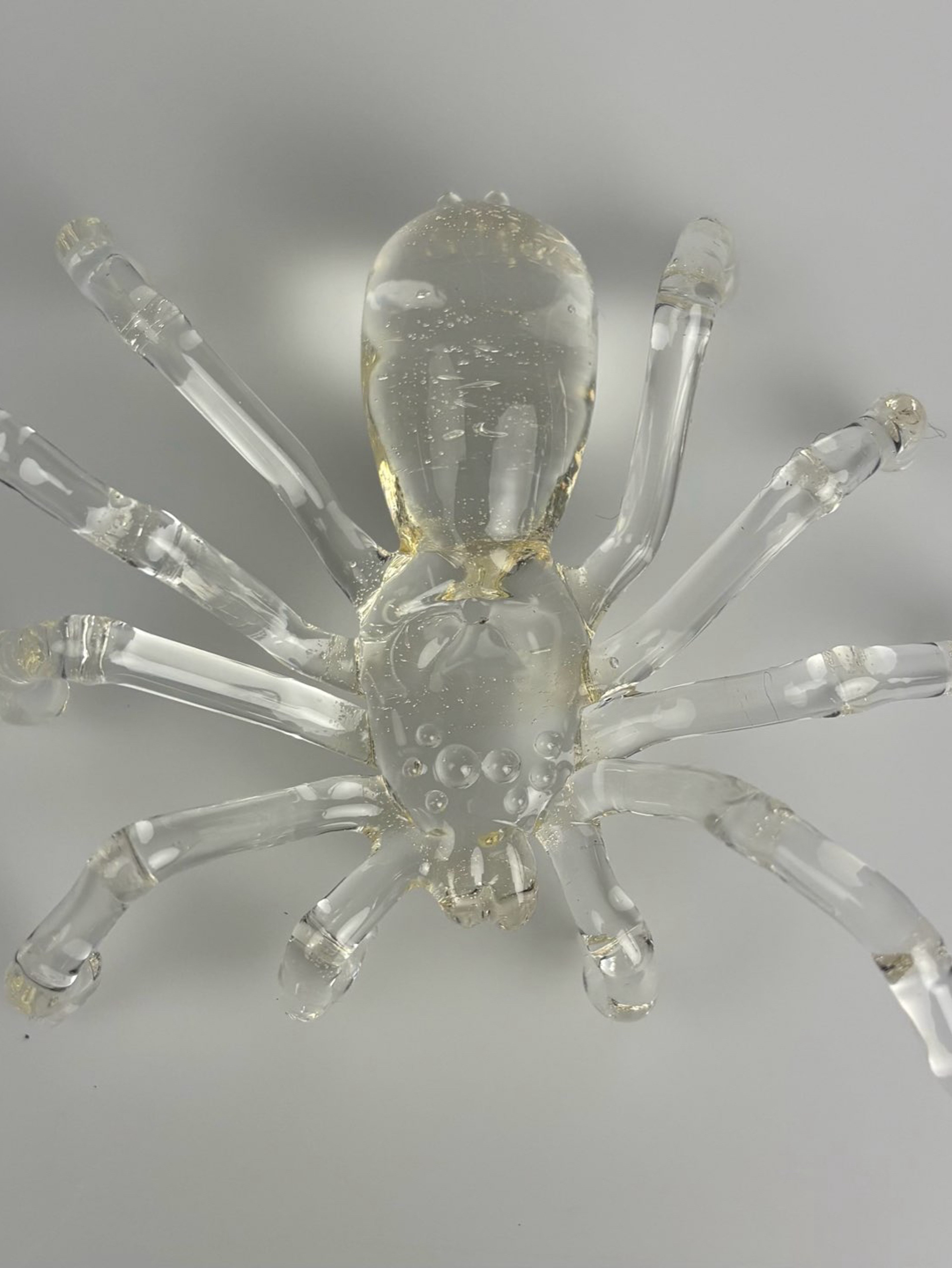 Preview pic of Blu-V tarantula (uv reactive)