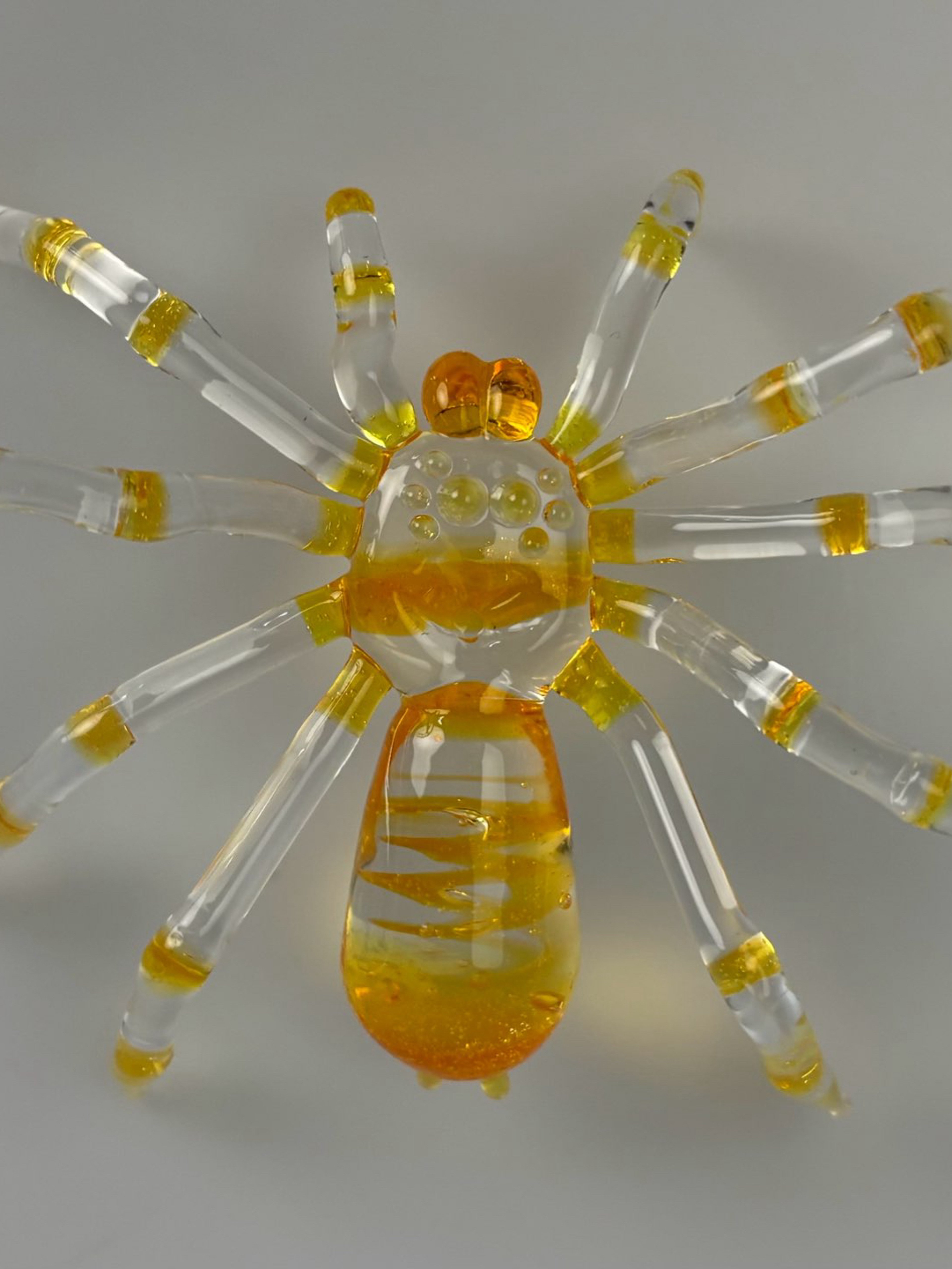 Preview pic of Yellow tarantula