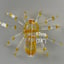 Small image 6