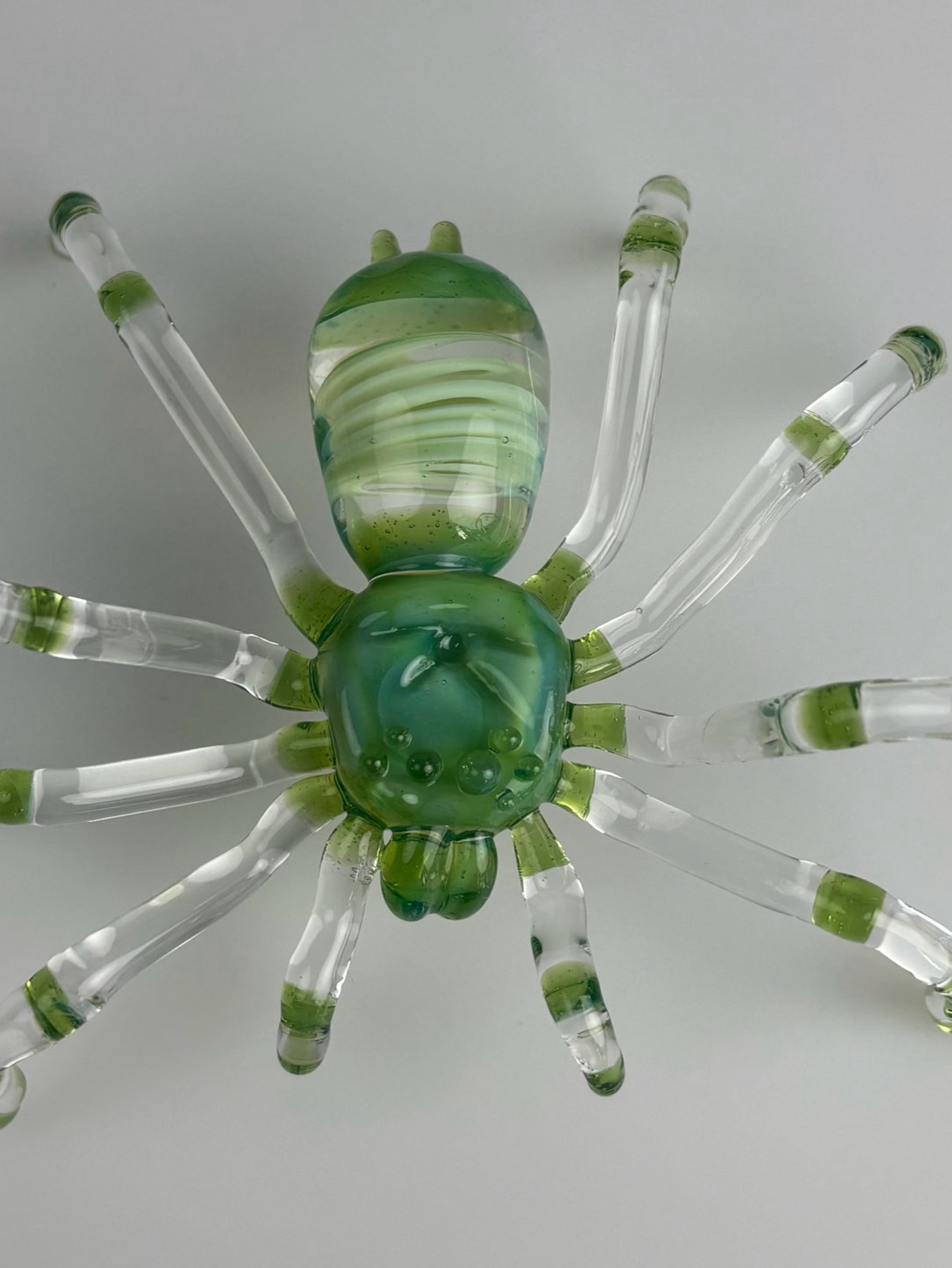Sea Slyme tarantula image 0