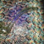 Small image 6