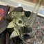Small image 7