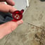 Small image 4