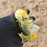 Small image 3