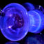 Small image 7