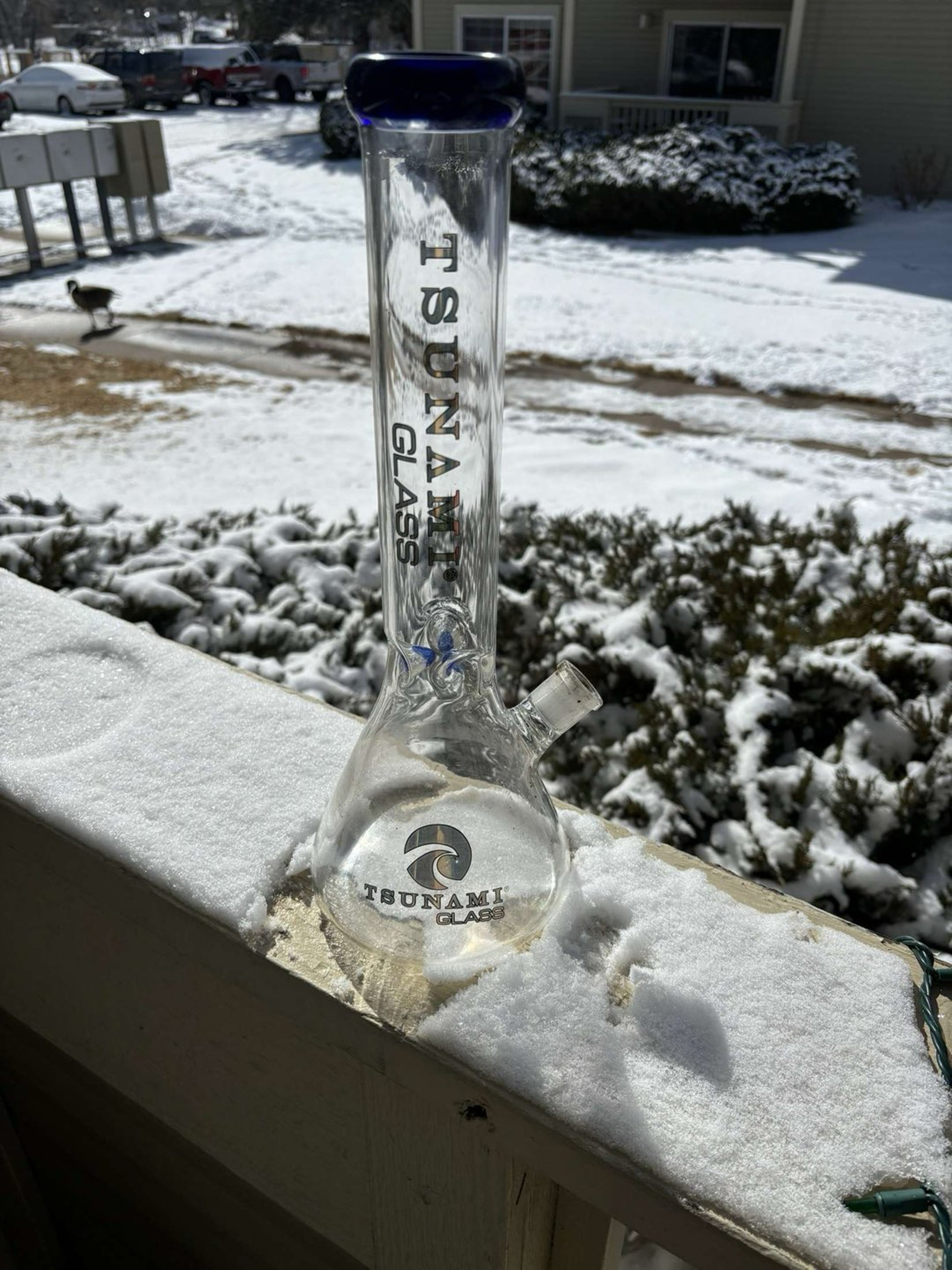 Preview pic of Tsunami Beaker