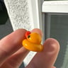 Small image 1