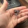 Small image 2