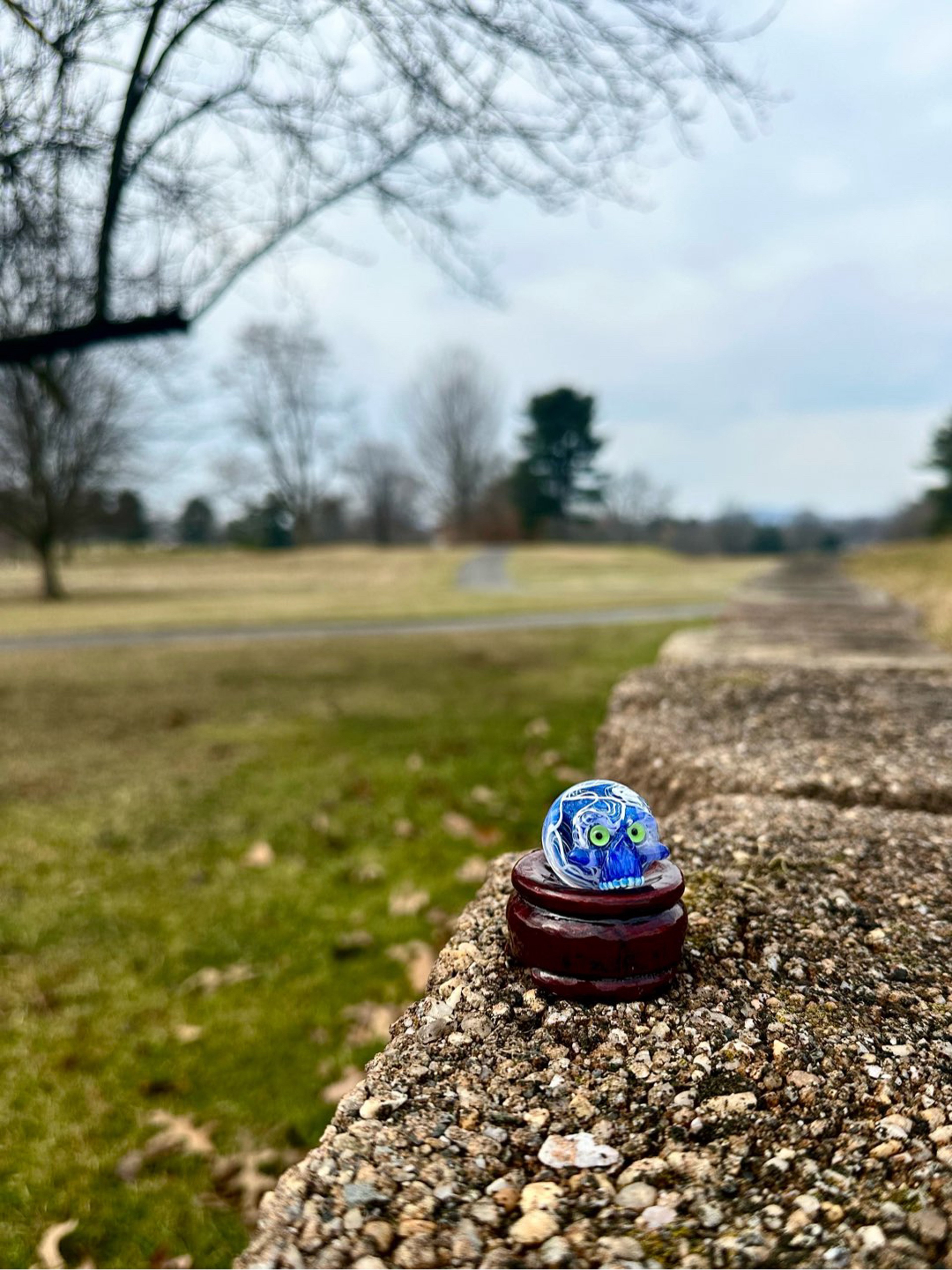 Preview pic of *LIMITED *SCOMO/BELLMONT *UV