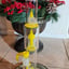 Small image 7