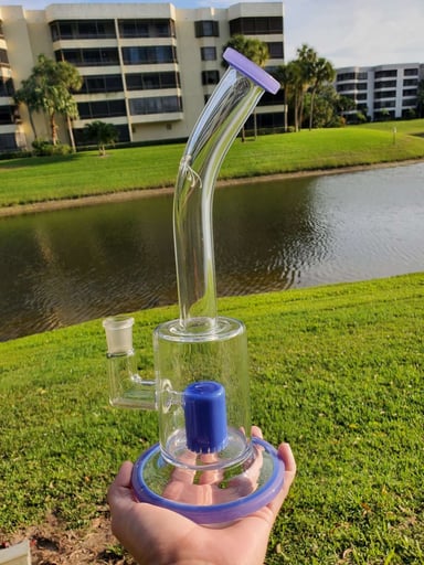 Preview pic of Long neck froth in Lilac and blue cheese