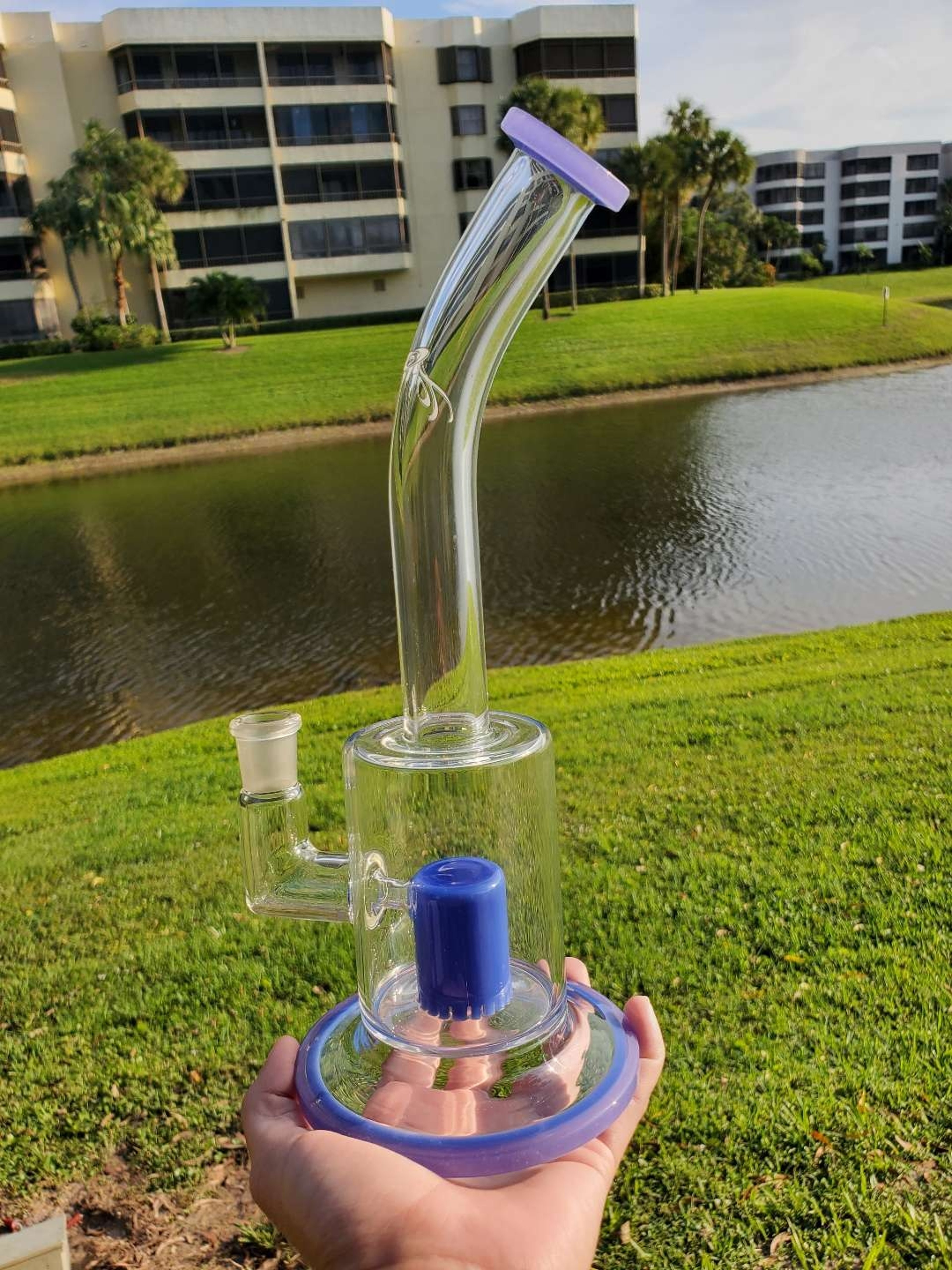Preview pic of Long neck froth in Lilac and blue cheese
