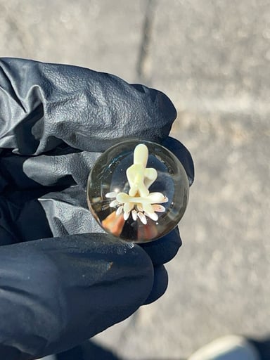Preview pic of "Do a kickflip" marble  (no reserve)