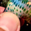 Small image 5