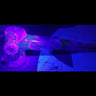 Small image 6