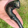 Small image 6