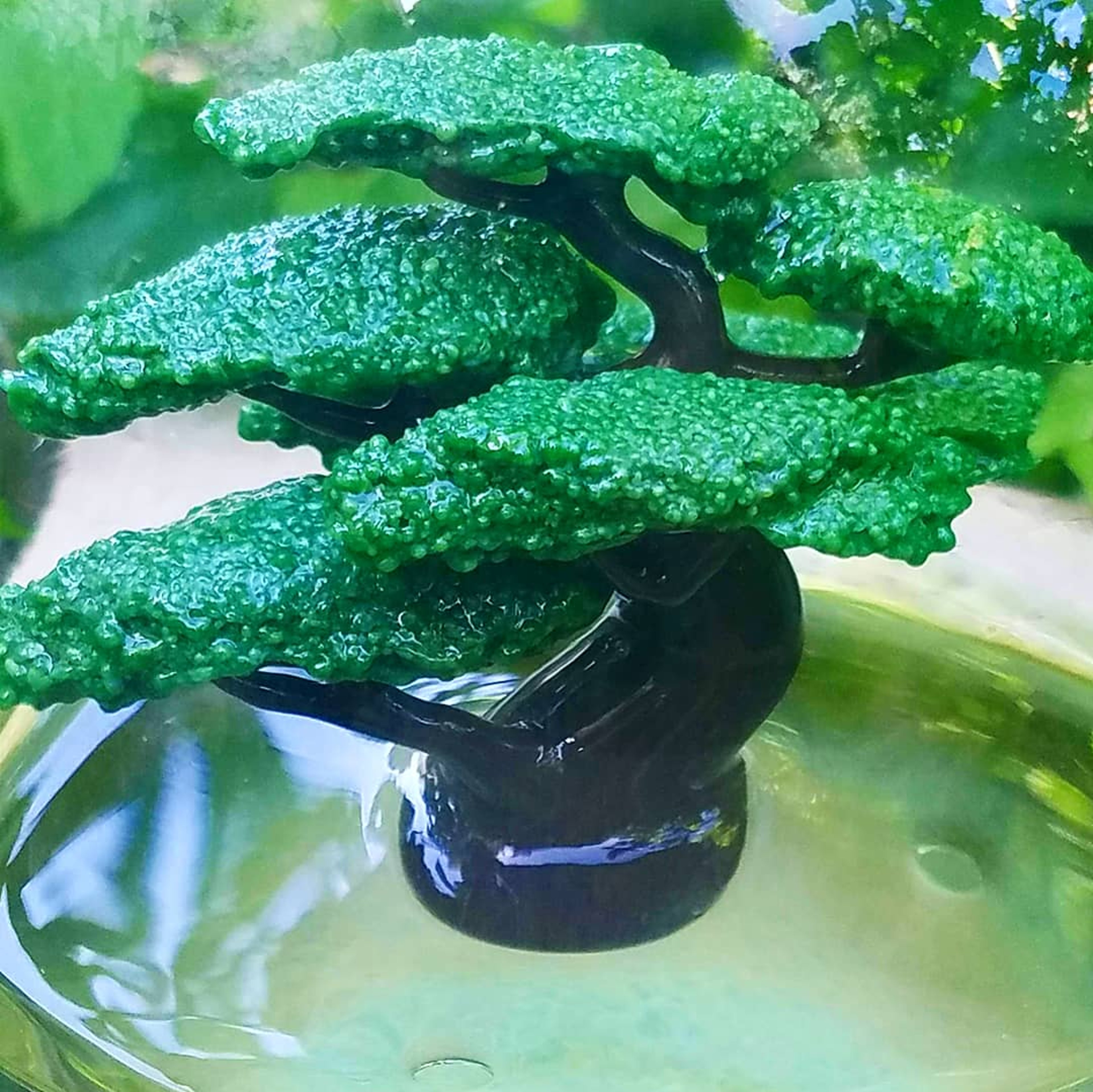 Preview pic of BTB Bonsai Globe