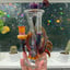 Small image 5