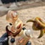 Small image 6